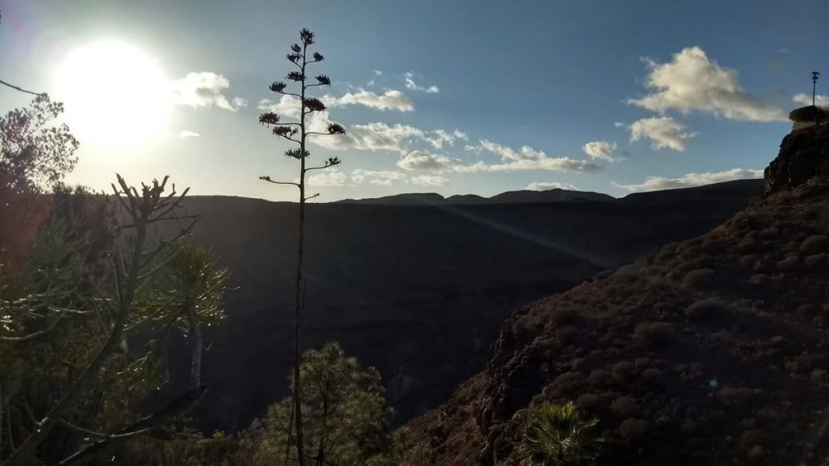 12 slaapkamer Villa te koop in San Bartolome de Tirajana met zwembad - € 6.900.000 (Ref: 6190193)