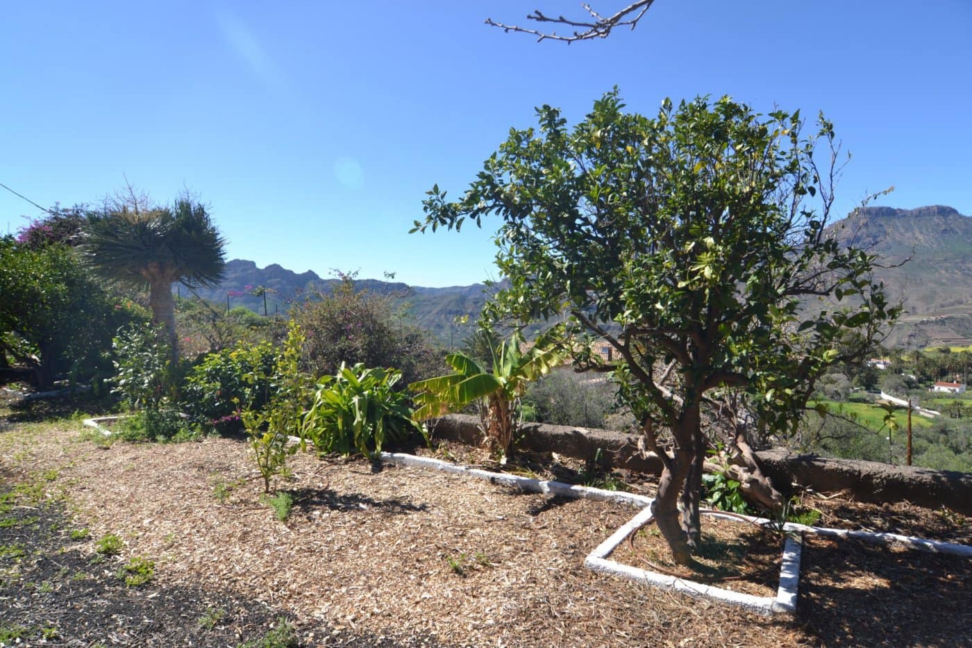 4 soverom Finca/Herregård til salgs i Santa Lucia de Tirajana med svømmebasseng garasje - € 575 000 (Ref: 6190199)