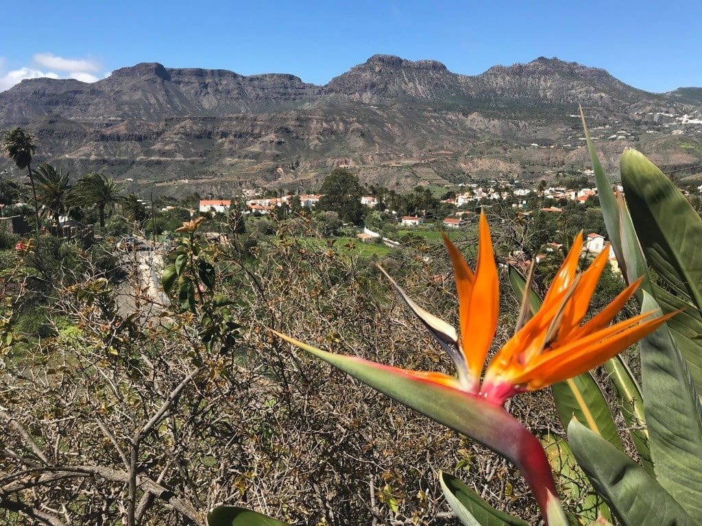 4 soverom Finca/Herregård til salgs i Santa Lucia de Tirajana med svømmebasseng garasje - € 575 000 (Ref: 6190199)