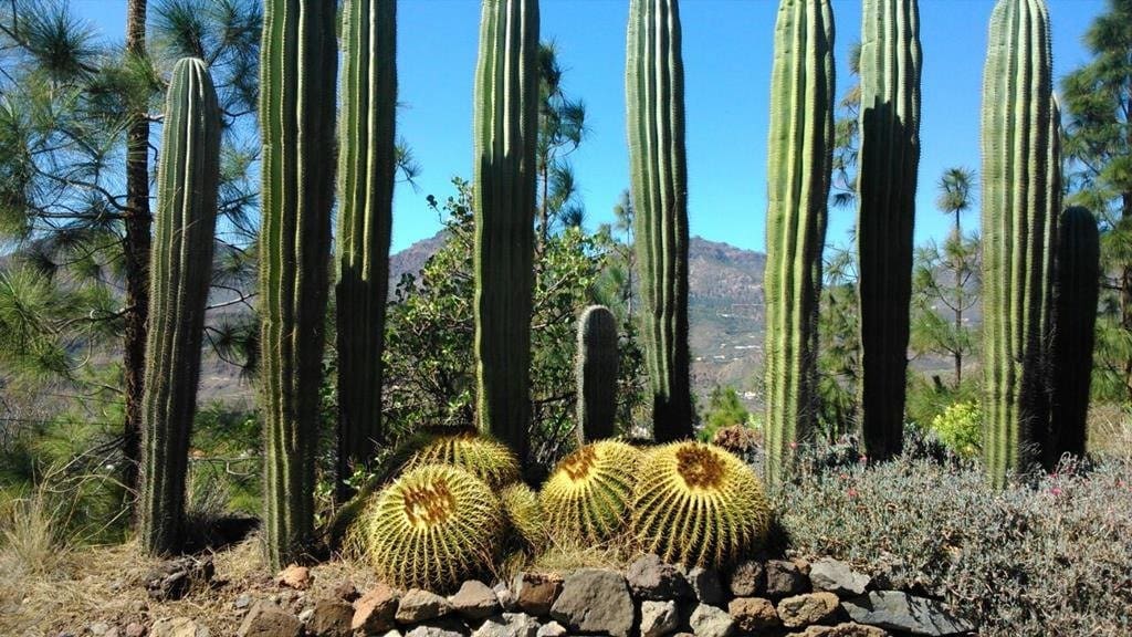 4 sovrum Finca/Hus på landet till salu i Santa Lucia de Tirajana med pool garage - 499 999 € (Ref: 6190199)