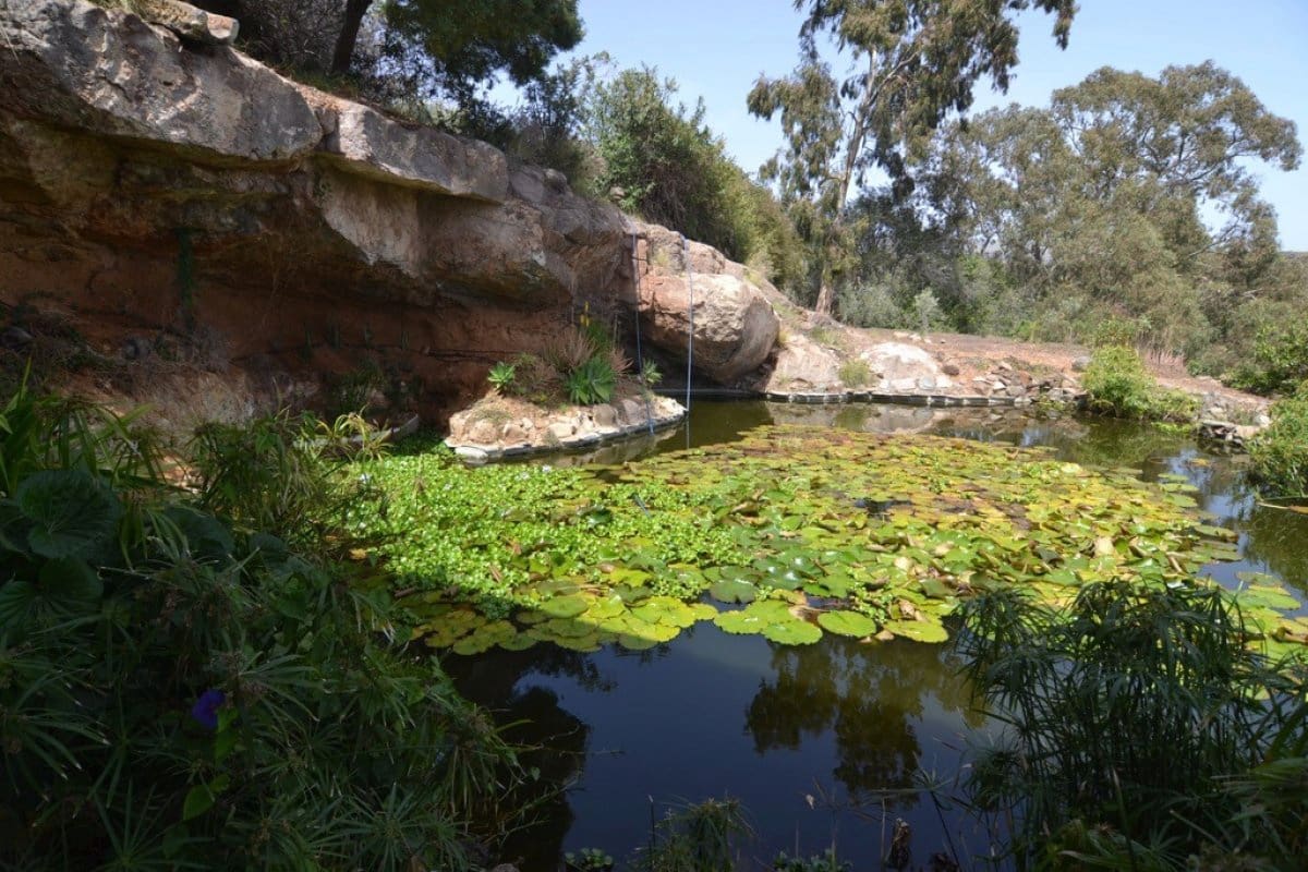 12 soveværelse Hotel til salg i San Bartolome de Tirajana med swimmingpool - € 6.900.000 (Ref: 6190243)