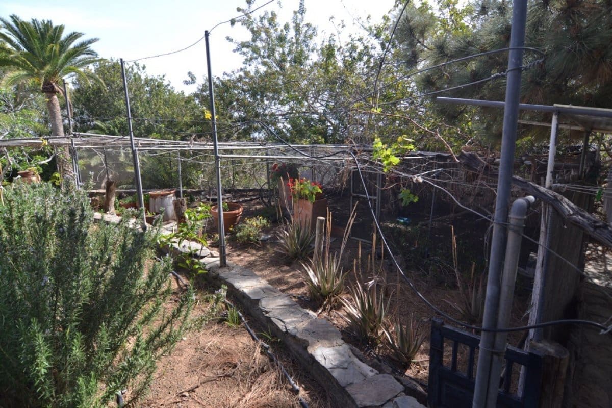 12 soveværelse Hotel til salg i San Bartolome de Tirajana med swimmingpool - € 6.900.000 (Ref: 6190243)