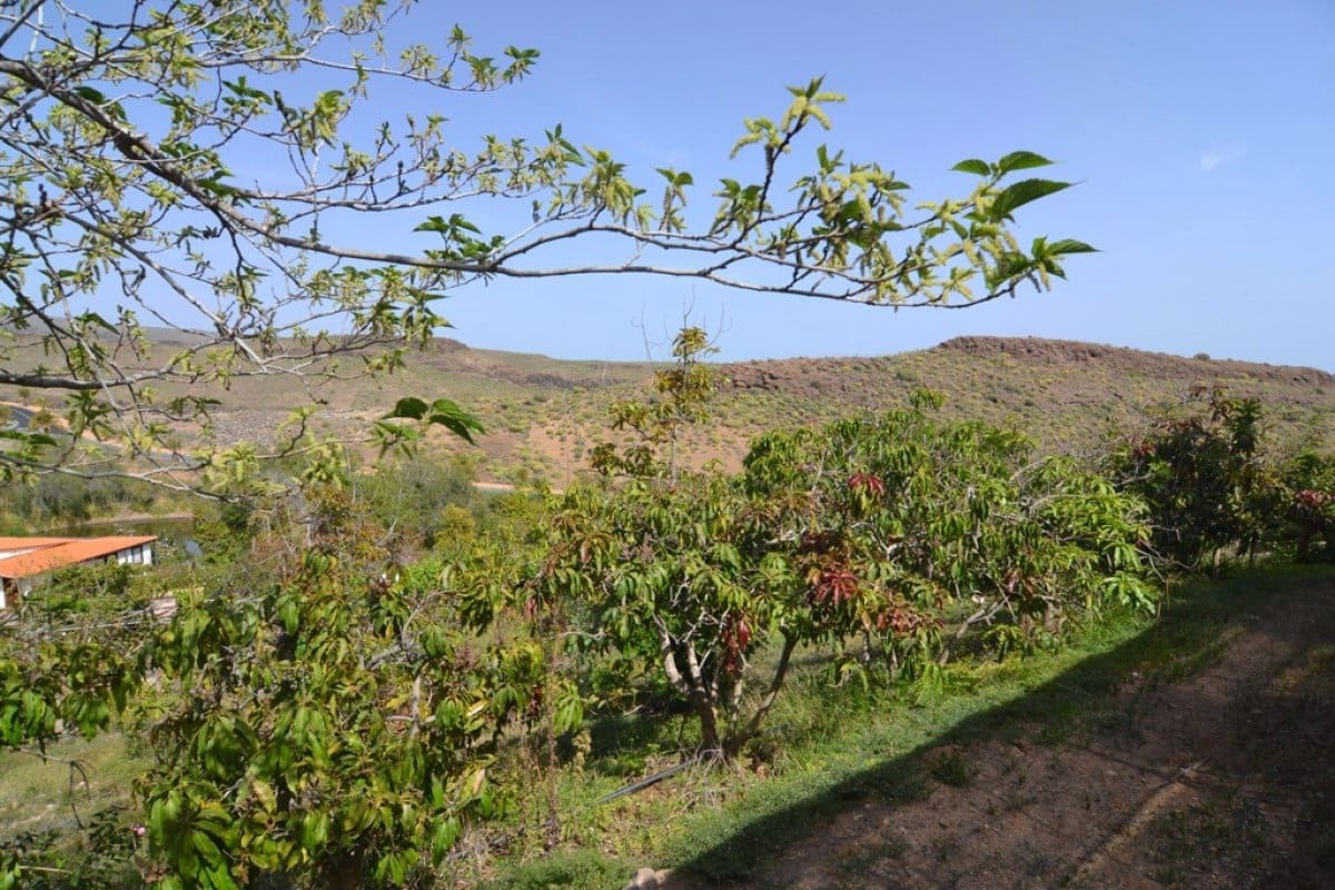 12 soveværelse Hotel til salg i San Bartolome de Tirajana med swimmingpool - € 6.900.000 (Ref: 6190243)