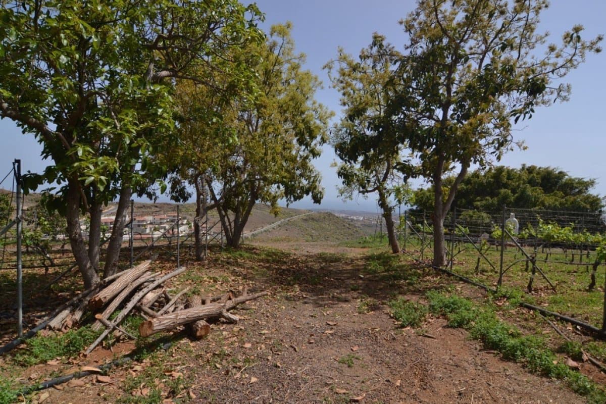 12 soveværelse Hotel til salg i San Bartolome de Tirajana med swimmingpool - € 6.900.000 (Ref: 6190243)