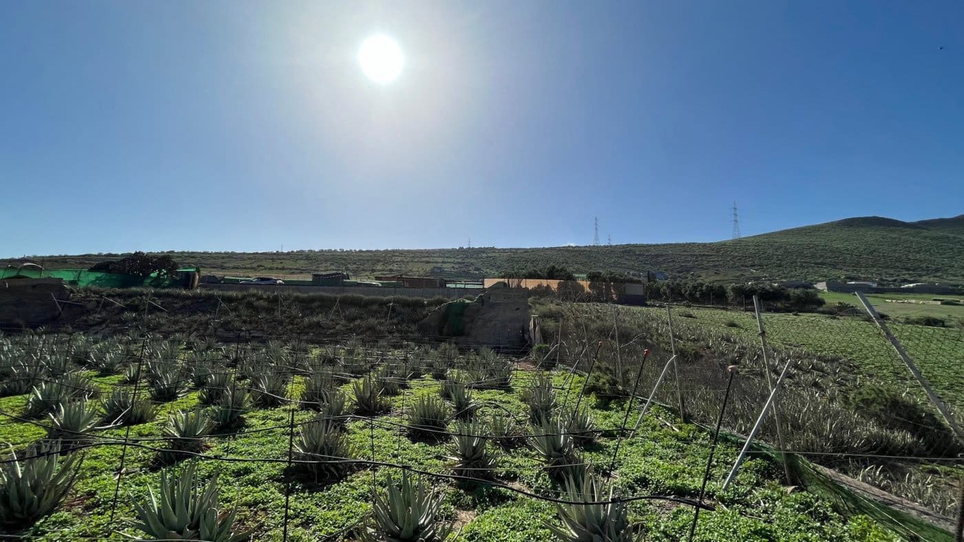 Finka/Dom wiejski na sprzedaż w Santa Lucia de Tirajana - 75 000 € (Ref: 7174398)