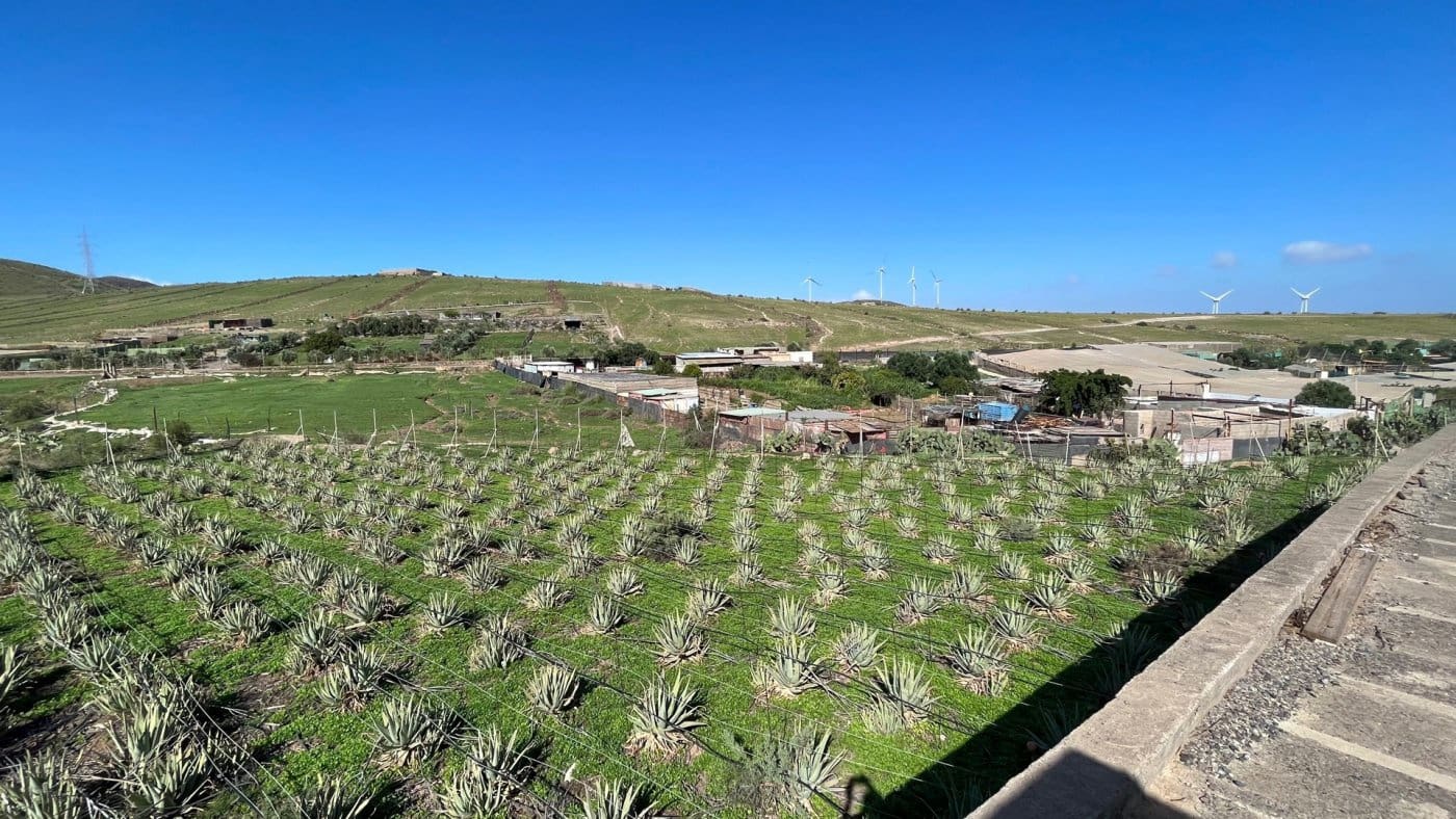 Finka/Dom wiejski na sprzedaż w Santa Lucia de Tirajana - 75 000 € (Ref: 7174398)