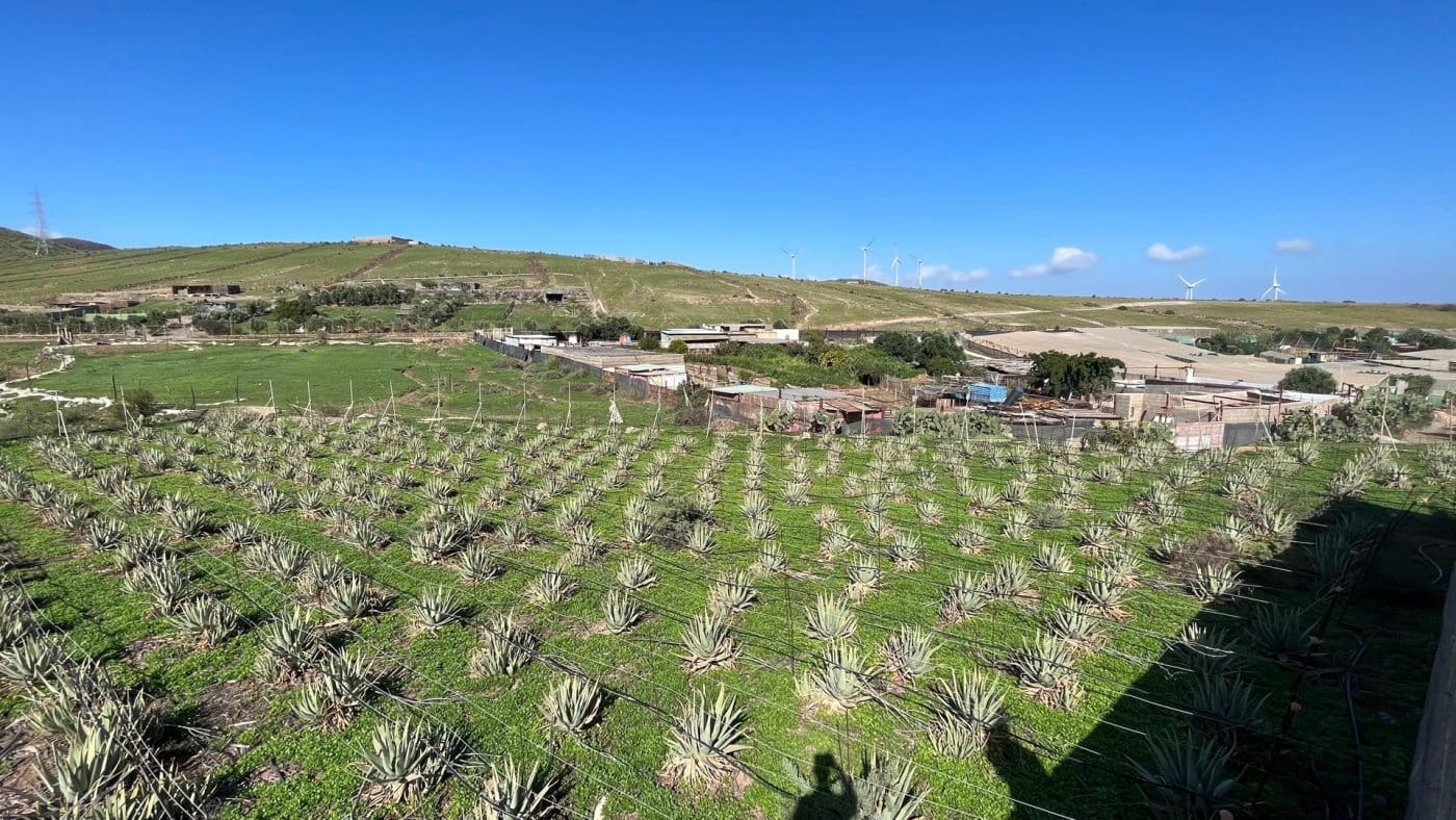 Finka/Dom wiejski na sprzedaż w Santa Lucia de Tirajana - 75 000 € (Ref: 7174398)