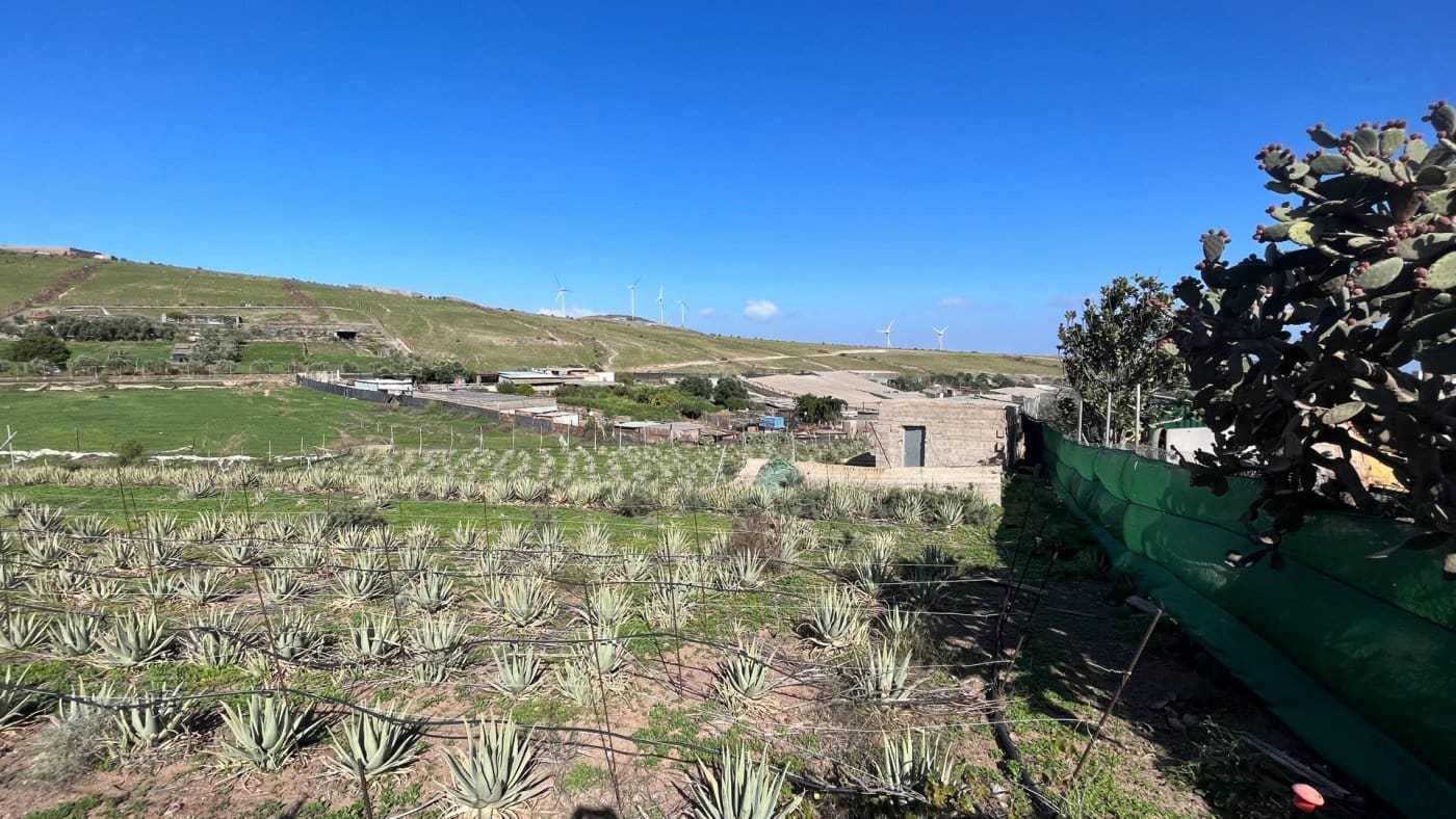 Finka/Dom wiejski na sprzedaż w Santa Lucia de Tirajana - 75 000 € (Ref: 7174398)