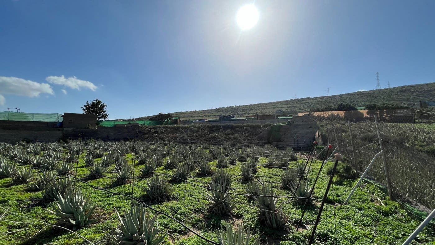 Finka/Dom wiejski na sprzedaż w Santa Lucia de Tirajana - 75 000 € (Ref: 7174398)