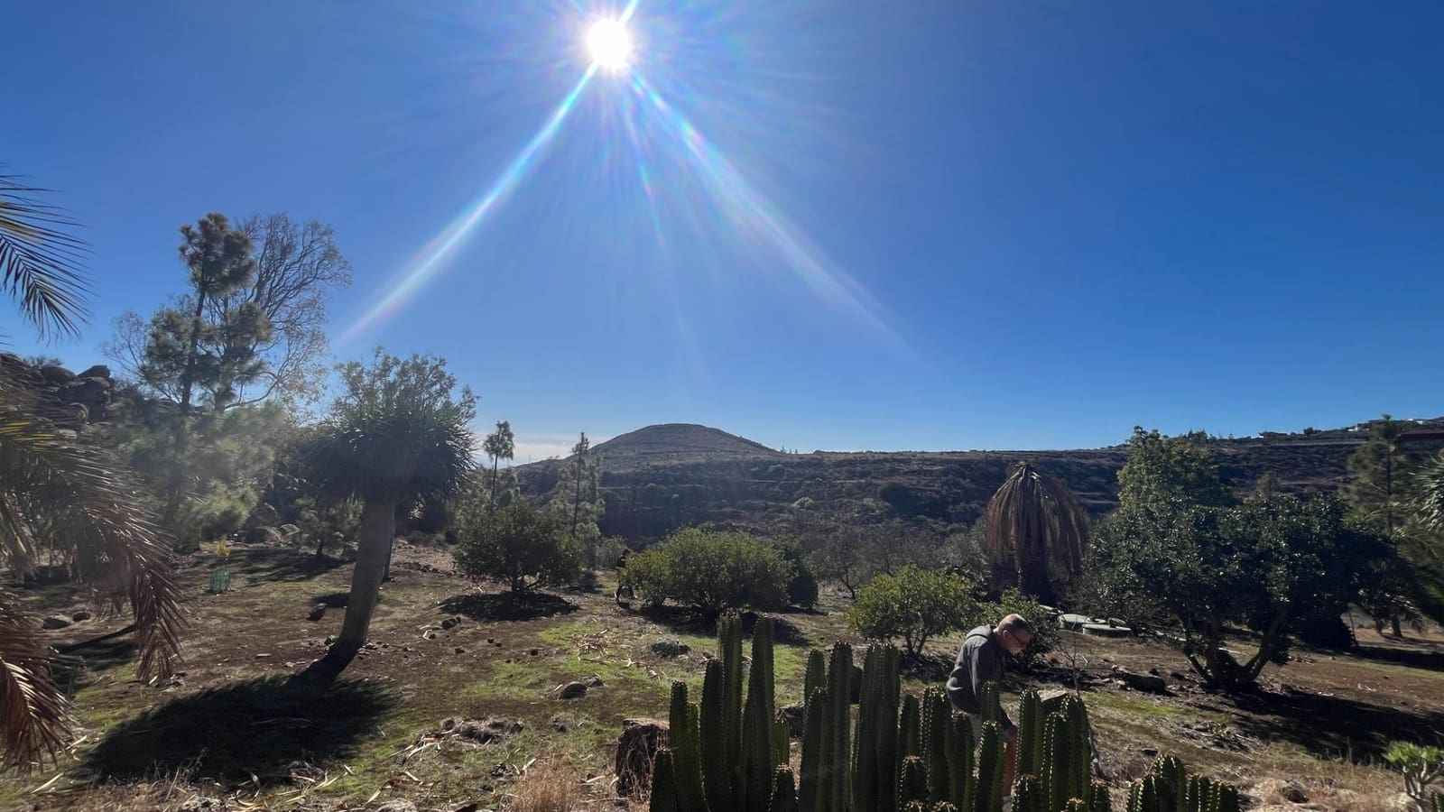 2 soveværelse Finca/Landehus til salg i Ingenio med swimmingpool - € 669.000 (Ref: 8625067)