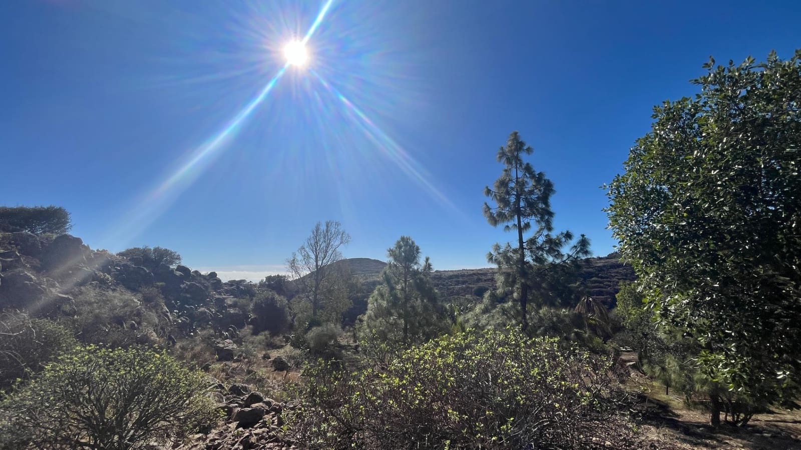 2 soveværelse Finca/Landehus til salg i Ingenio med swimmingpool - € 669.000 (Ref: 8625067)