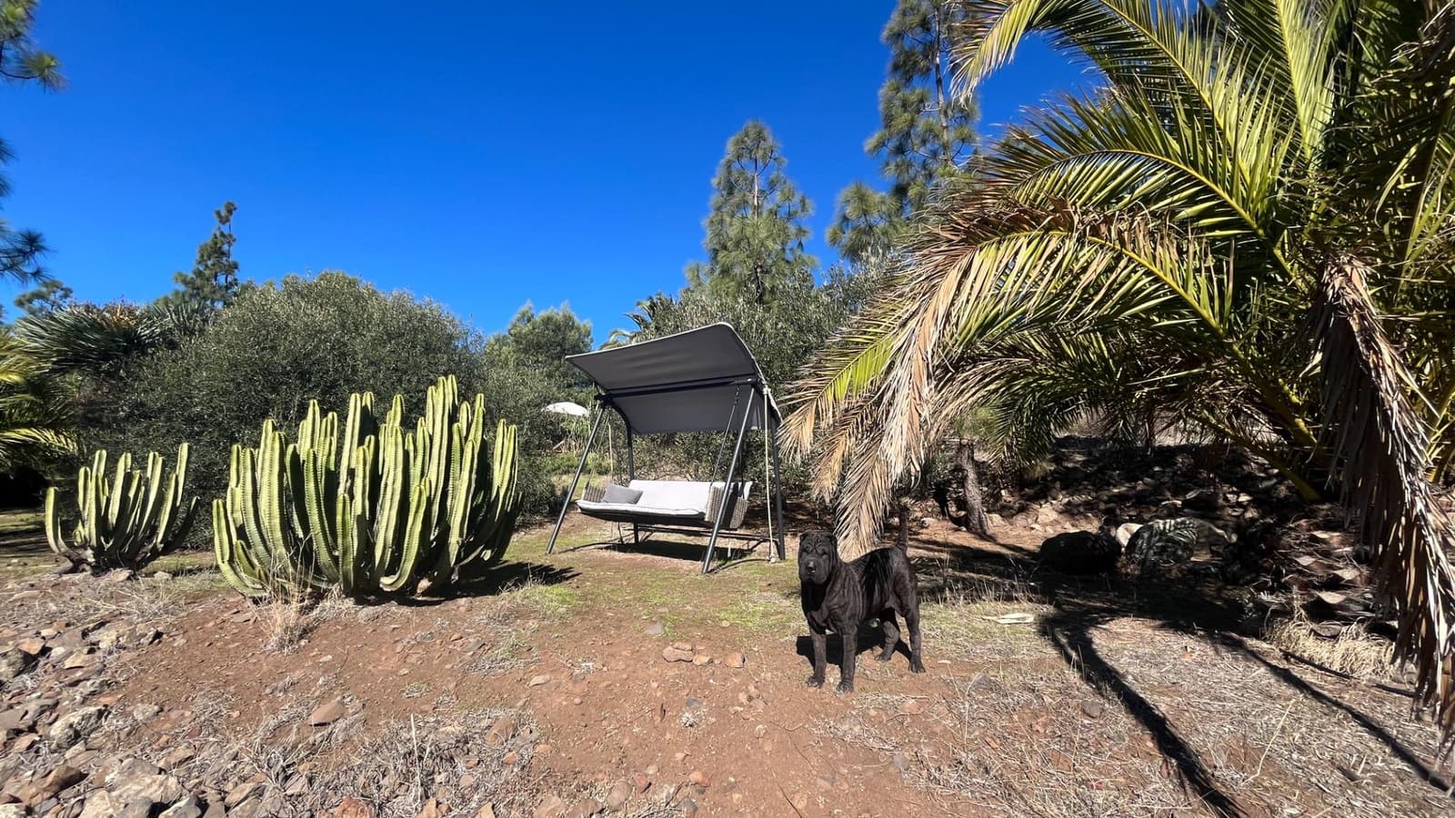 2 soveværelse Finca/Landehus til salg i Ingenio med swimmingpool - € 669.000 (Ref: 8625067)