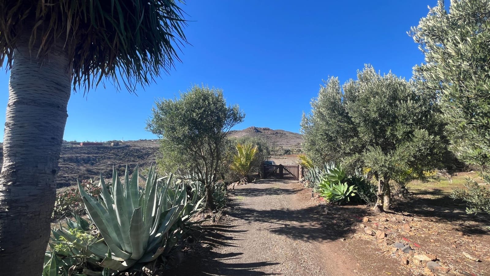 2 soveværelse Finca/Landehus til salg i Ingenio med swimmingpool - € 669.000 (Ref: 8625067)