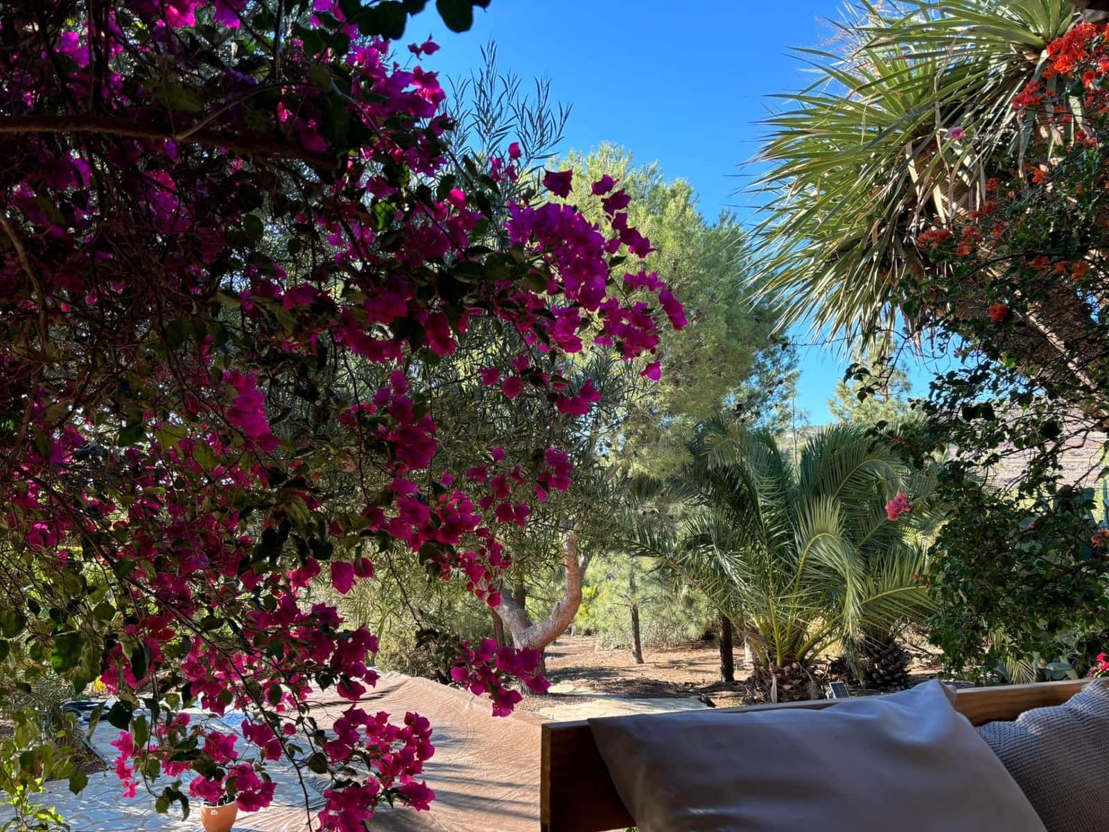 2 soveværelse Finca/Landehus til salg i Ingenio med swimmingpool - € 669.000 (Ref: 8625067)