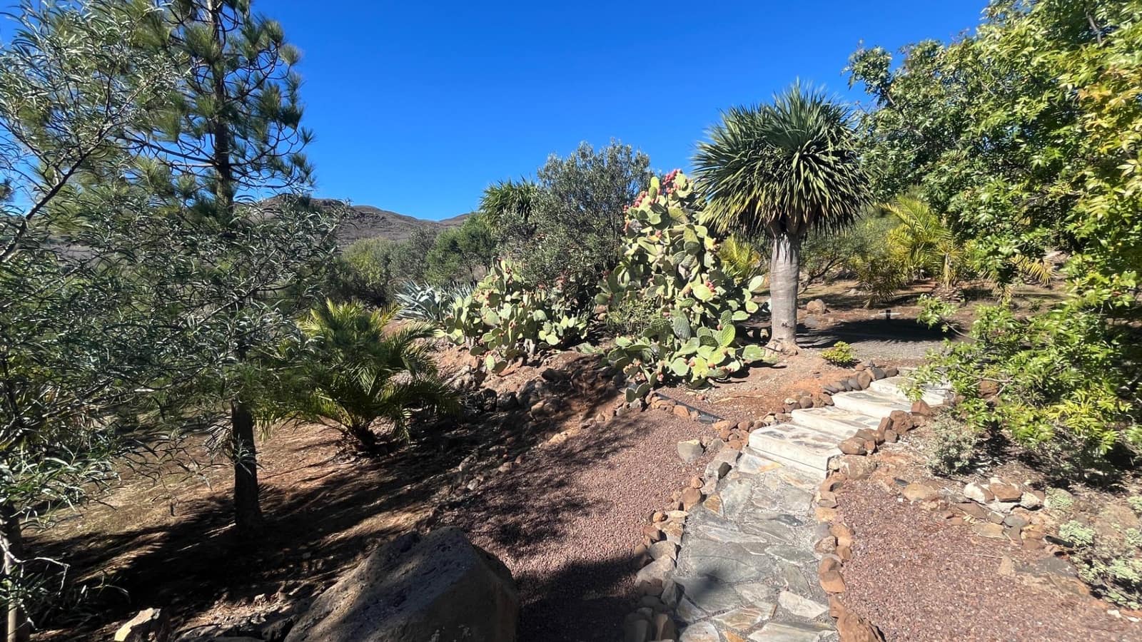 2 soveværelse Finca/Landehus til salg i Ingenio med swimmingpool - € 669.000 (Ref: 8625067)