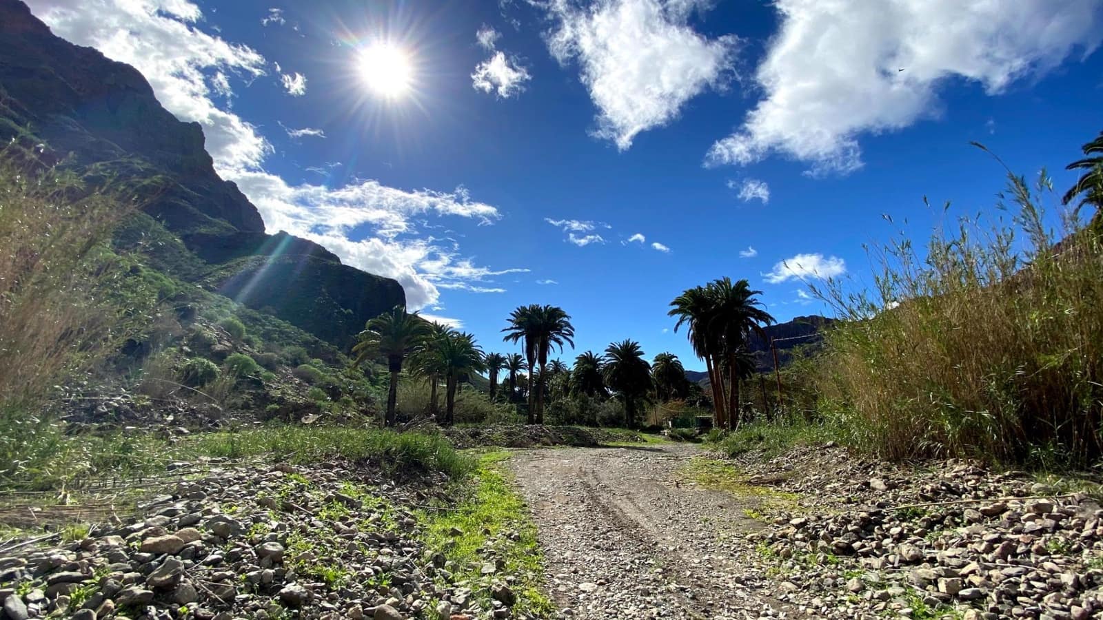 11 Zimmer Finca/Landgut zu verkaufen in Fataga mit Pool - 995.000 € (Ref: 8699677)
