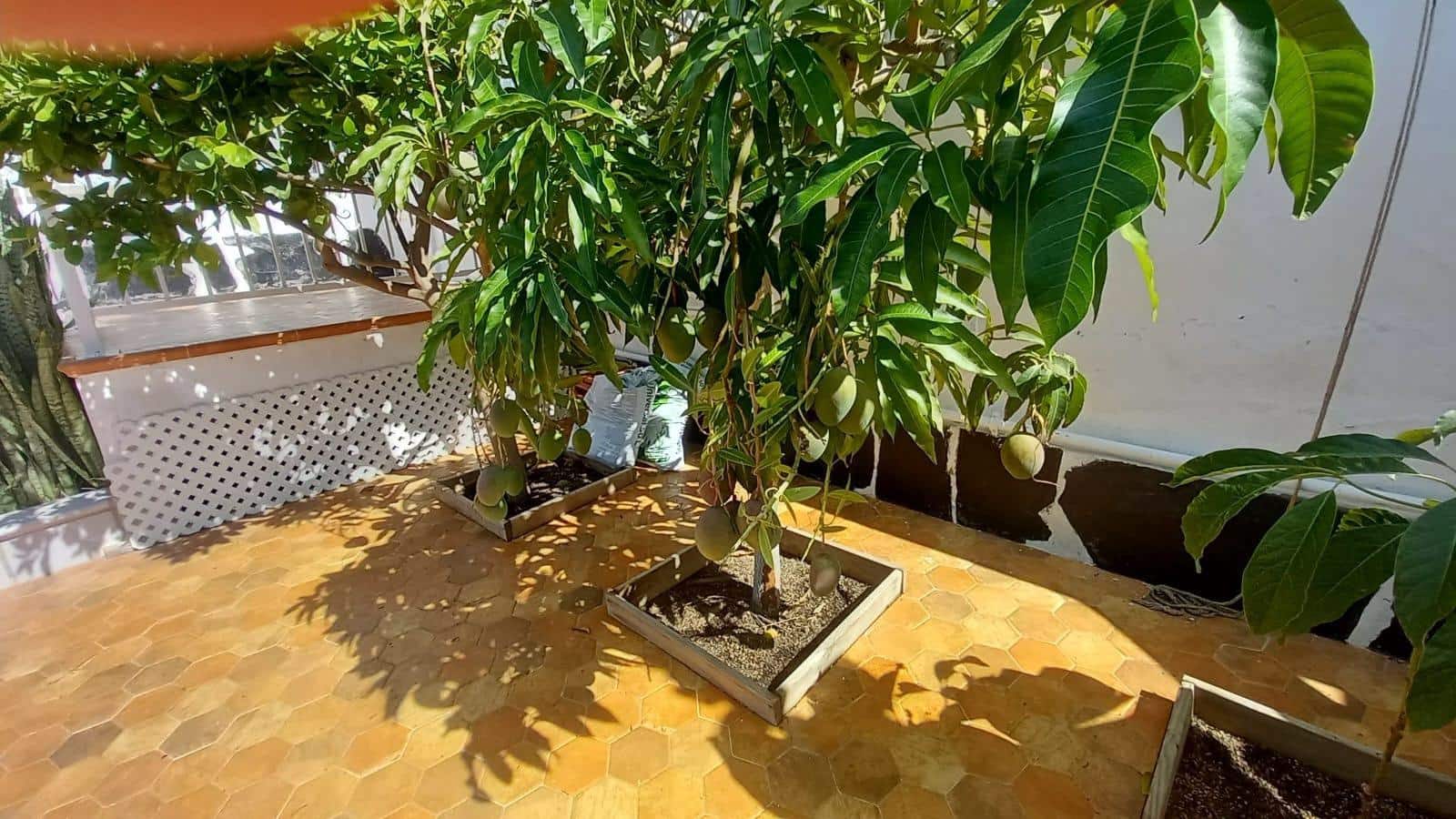 2 soverom Bungalow til salgs i Playa del Ingles med svømmebasseng garasje - € 550 000 (Ref: 9132557)