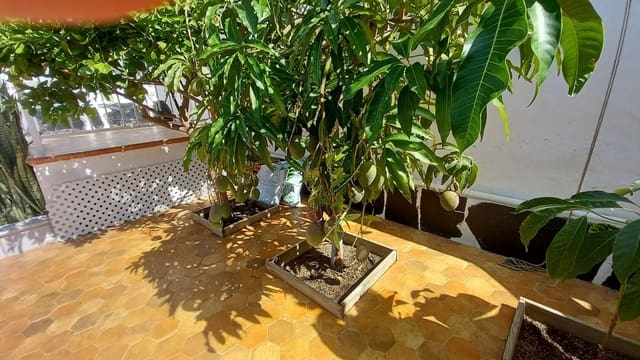 2 quarto Bungalow para venda em Playa del Inglés, San Bartolomé de Tirajana com piscina garagem - 550 000 € (Ref: 9132557)