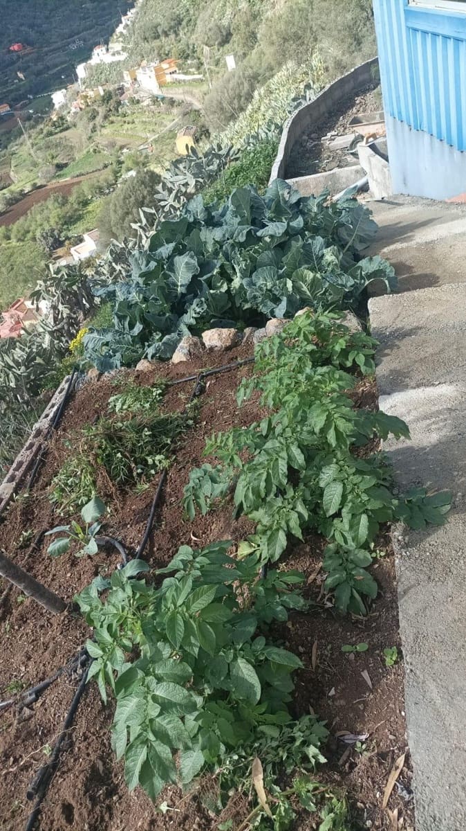 4 chambre Maison Troglodyte à vendre à Vega de San Mateo - 106 000 € (Ref: 9317992)