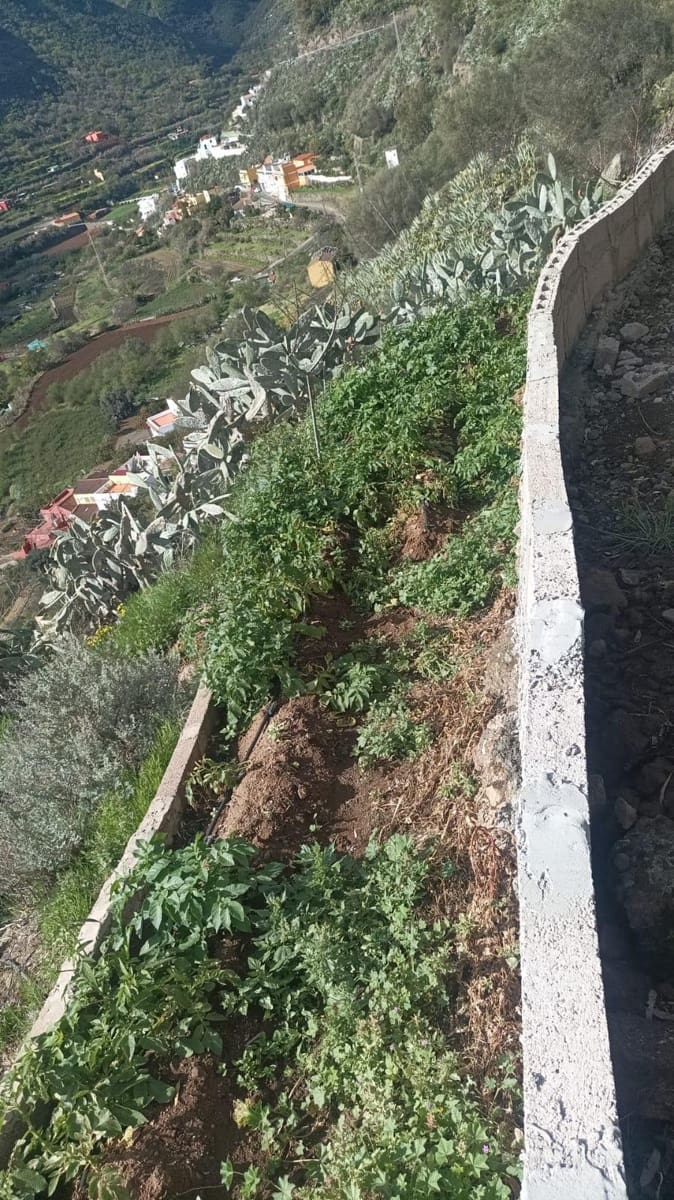 4 chambre Maison Troglodyte à vendre à Vega de San Mateo - 106 000 € (Ref: 9317992)