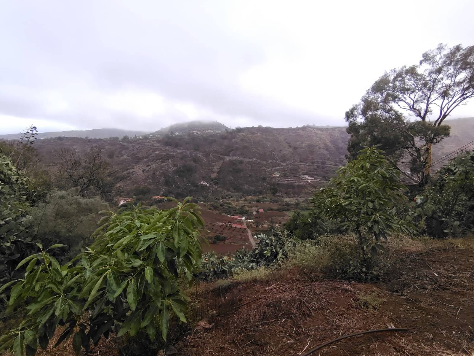 4 chambre Maison Troglodyte à vendre à Vega de San Mateo - 106 000 € (Ref: 9317992)