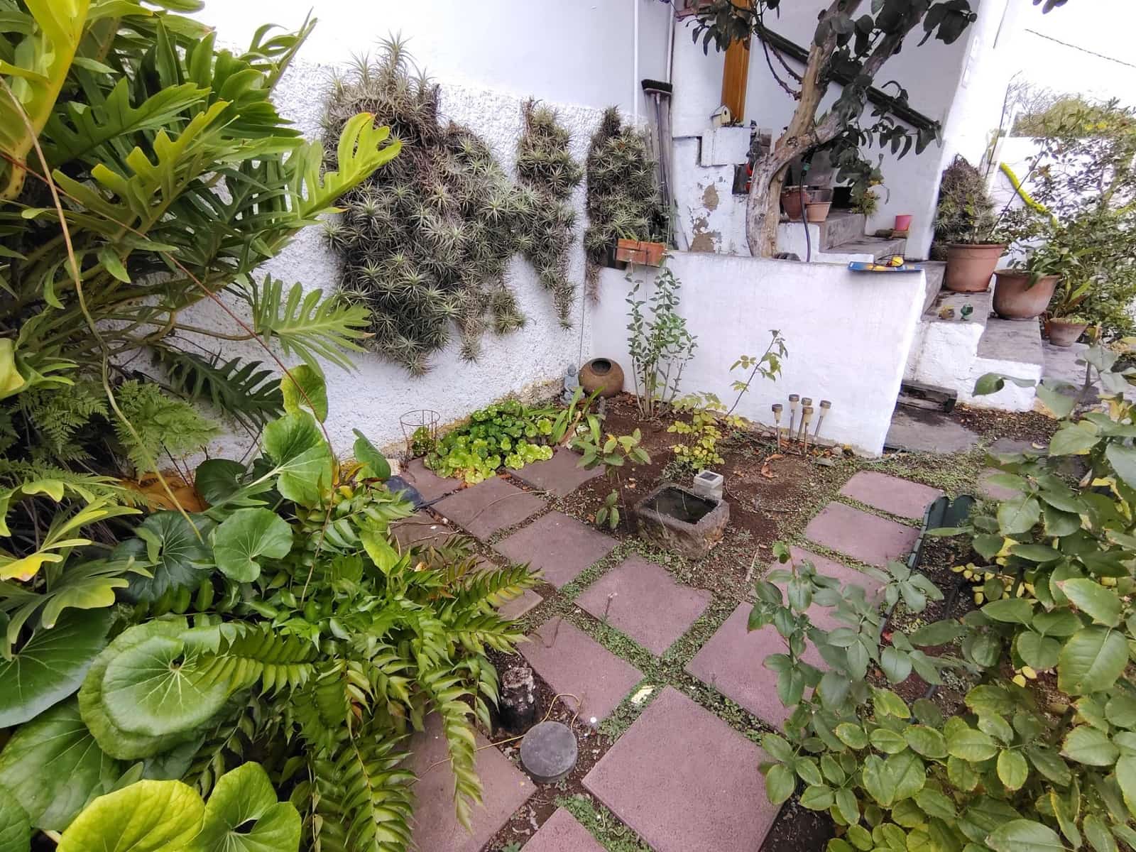 4 soverom Finca/Herregård til salgs i Moya - € 235 000 (Ref: 9338459)