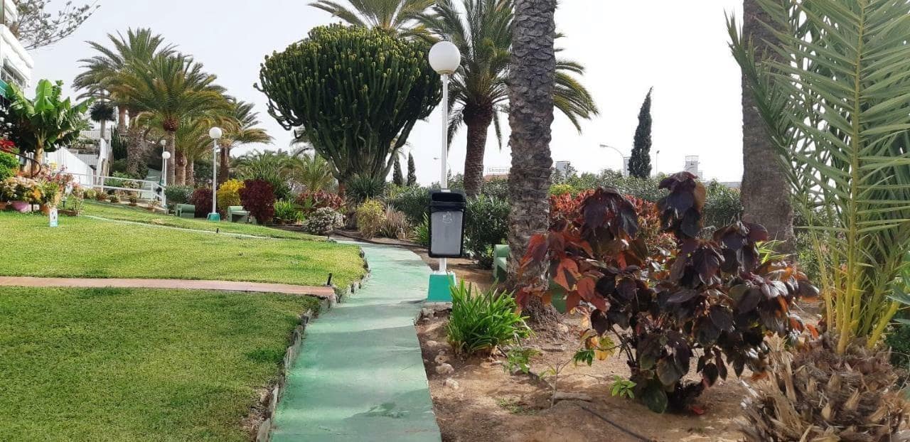 1 sovrum Lägenhet att hyra i San Agustin med pool - 1 100 € (Ref: 9551883)