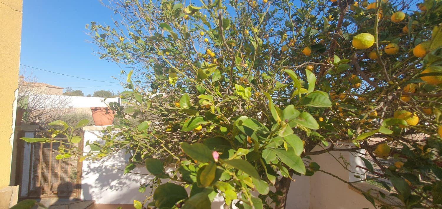 5 chambre Villa/Maison à vendre à Gea y Truyols avec piscine garage - 320 000 € (Ref: 8840569)