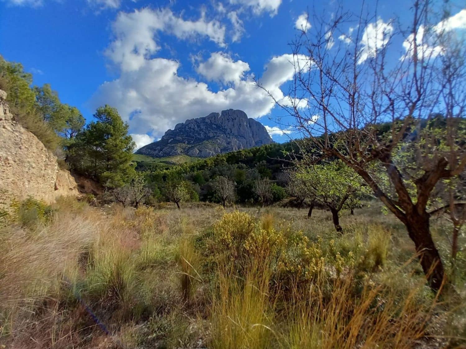 Undeveloped Land for sale in Finestrat - € 160,000 (Ref: 8907156)