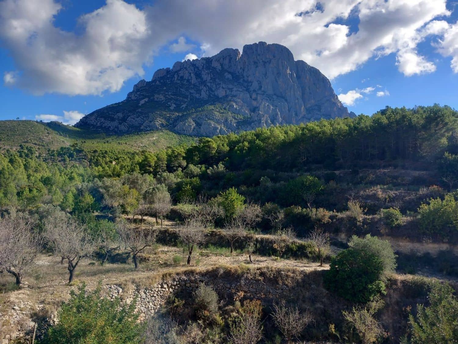 Undeveloped Land for sale in Finestrat - € 160,000 (Ref: 8907156)