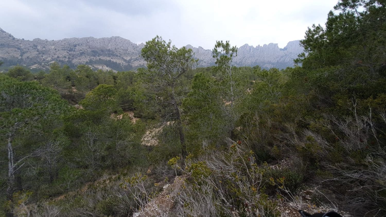 Undeveloped Land for sale in Finestrat - € 160,000 (Ref: 8907156)