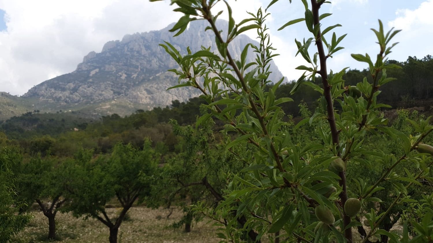 Undeveloped Land for sale in Finestrat - € 160,000 (Ref: 8907156)