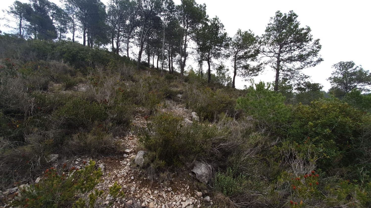 Undeveloped Land for sale in Finestrat - € 160,000 (Ref: 8907156)