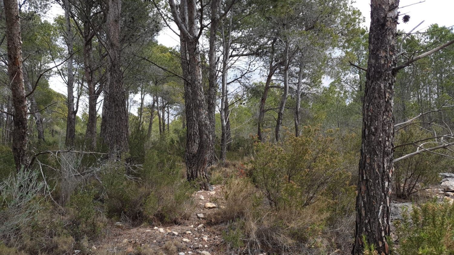 Undeveloped Land for sale in Finestrat - € 160,000 (Ref: 8907156)