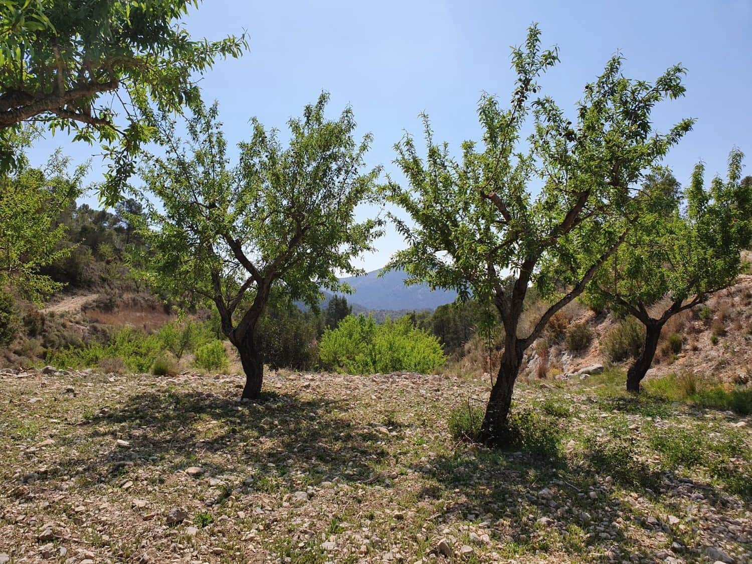 Undeveloped Land for sale in Finestrat - € 160,000 (Ref: 8907156)