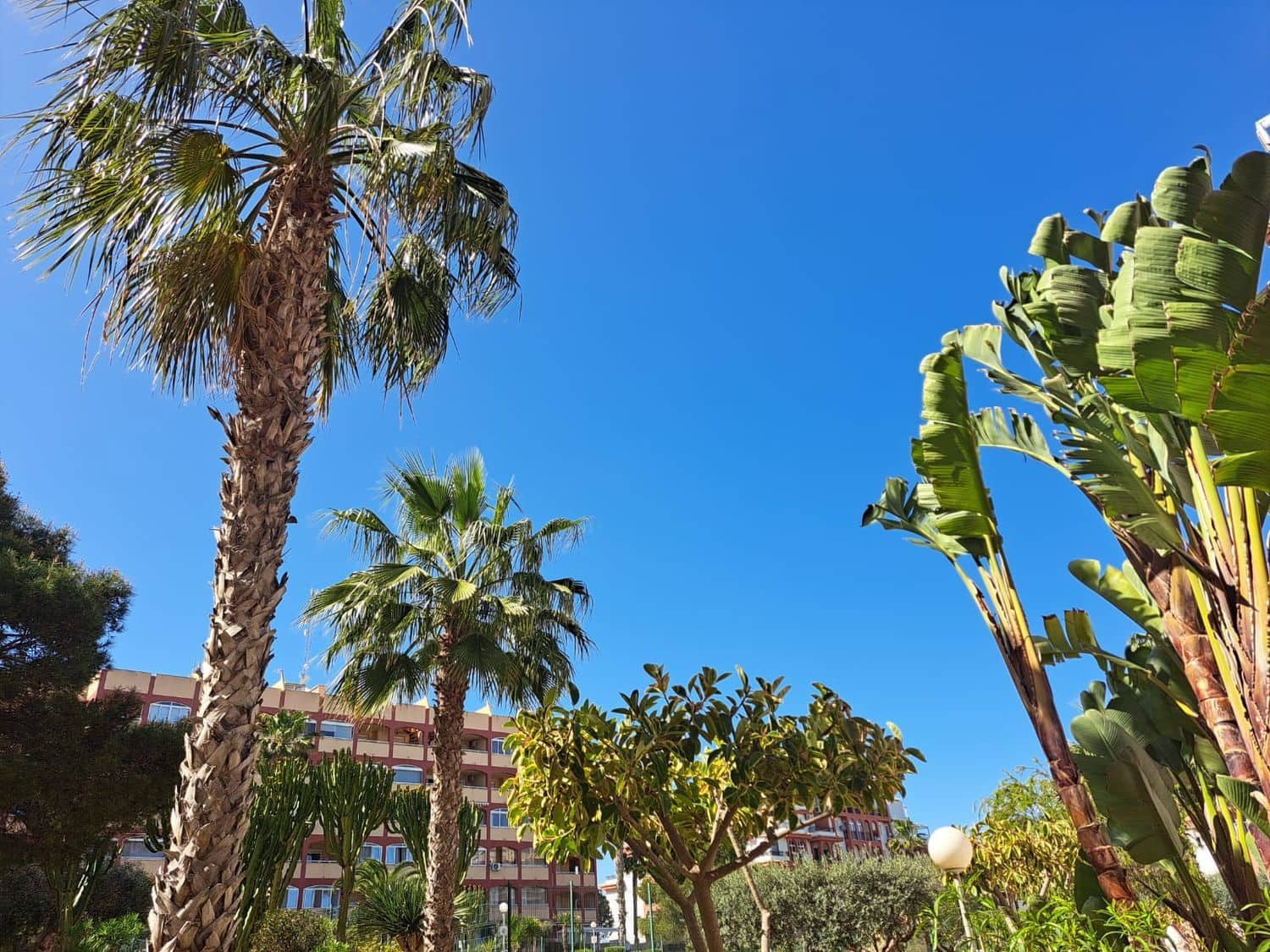 2 soveværelse Lejlighed til salg i Torrevieja med swimmingpool garage - € 156.900 (Ref: 8926061)