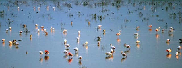 2 sovrum Lägenhet till salu i La Marina, Elche / Elx med pool garage - 296 000 € (Ref: 9585404)