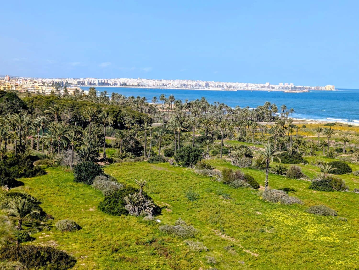 2 bedroom Apartment for sale in Punta Prima with garage - € 284,900 (Ref: 9737977)