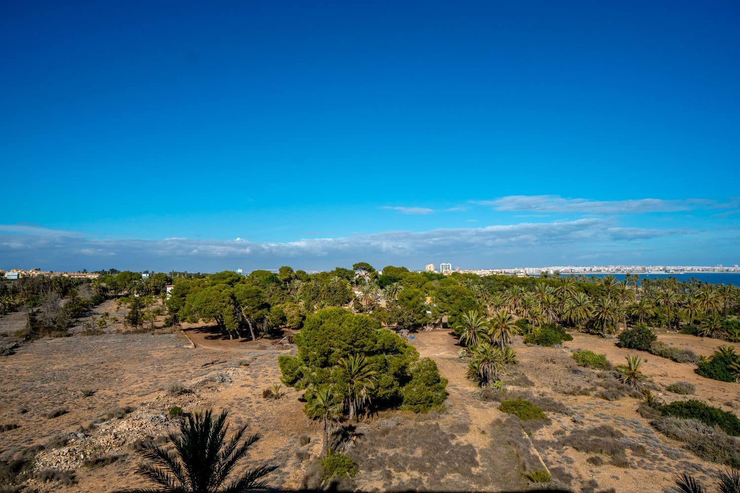2 bedroom Apartment for sale in Punta Prima with garage - € 284,900 (Ref: 9737977)