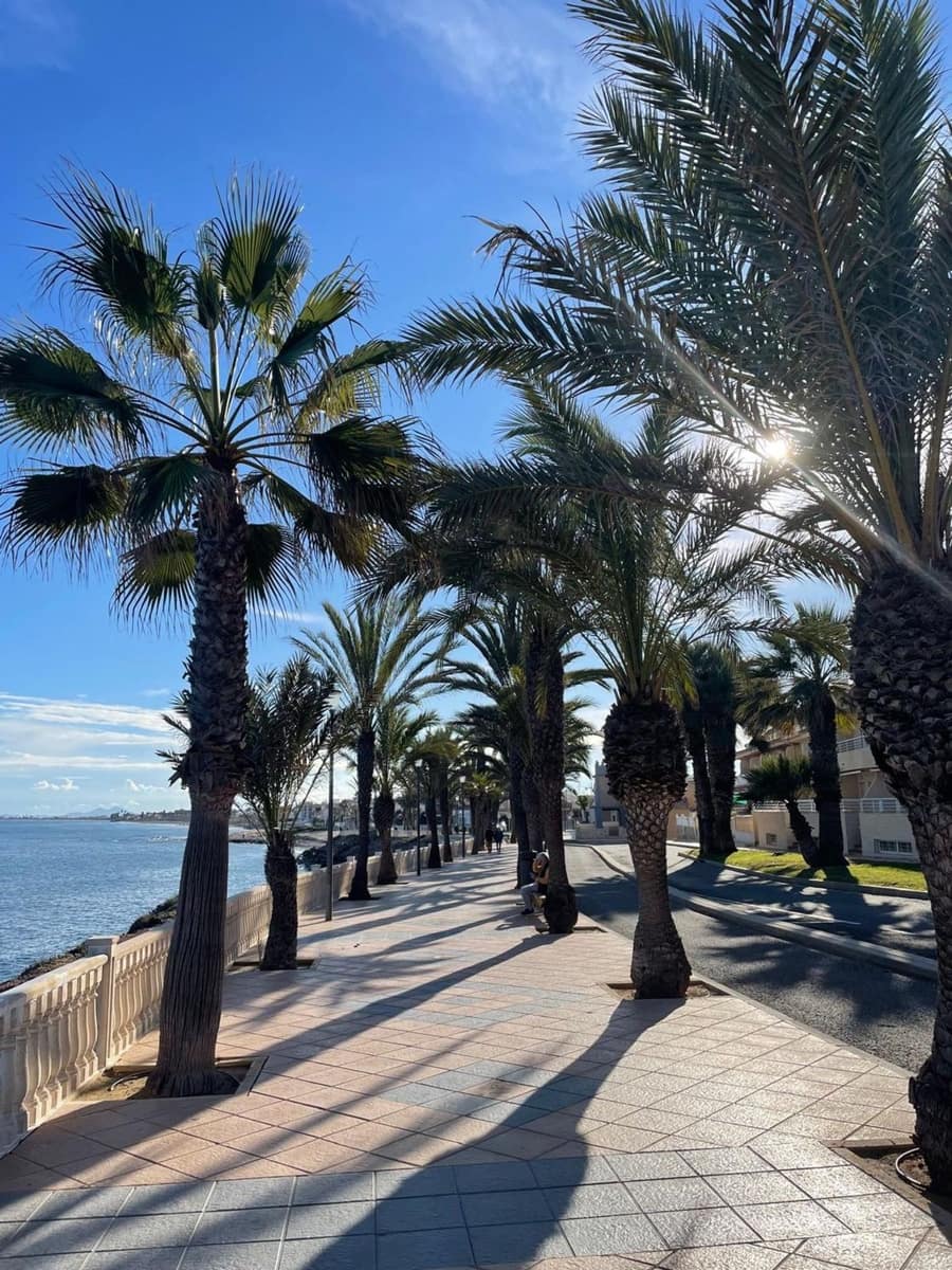 2 soveværelse Lejlighed til salg i San Miguel de Salinas med swimmingpool garage - € 285.000 (Ref: 9949070)