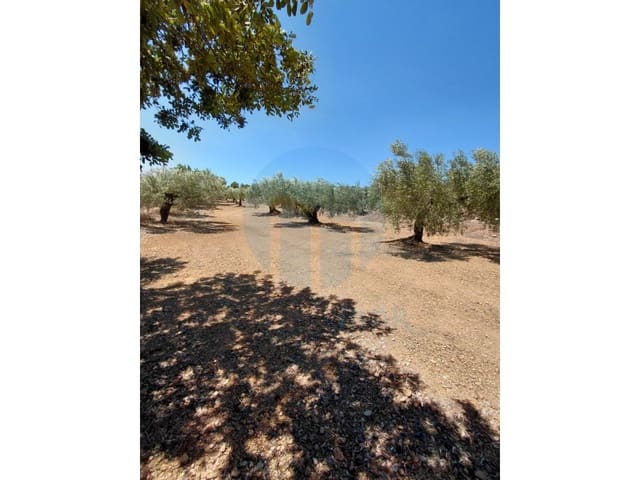 Quinta/Casa Rural para venda em L'Ametlla de Mar - 46 000 € (Ref: 10075508)