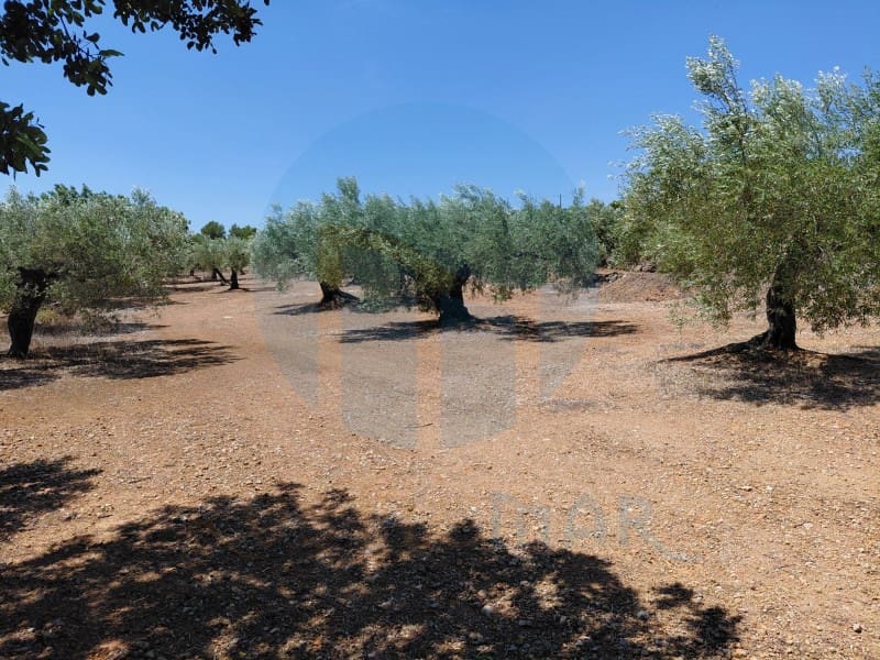 Quinta/Casa Rural para venda em L'Ametlla de Mar - 46 000 € (Ref: 10075508)