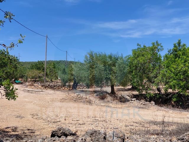 Quinta/Casa Rural para venda em L'Ametlla de Mar - 46 000 € (Ref: 10075508)