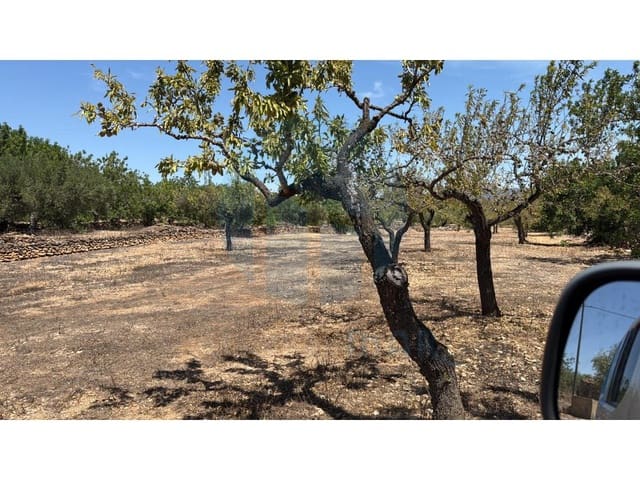 Quinta/Casa Rural para venda em L'Ametlla de Mar - 46 000 € (Ref: 10075508)