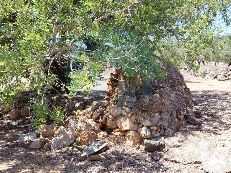Quinta/Casa Rural para venda em L'Ametlla de Mar - 46 000 € (Ref: 10075508)