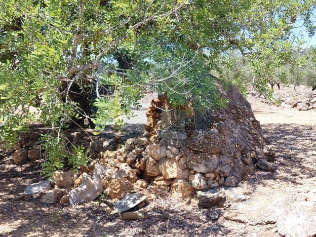 Quinta/Casa Rural para venda em L'Ametlla de Mar - 46 000 € (Ref: 10075508)
