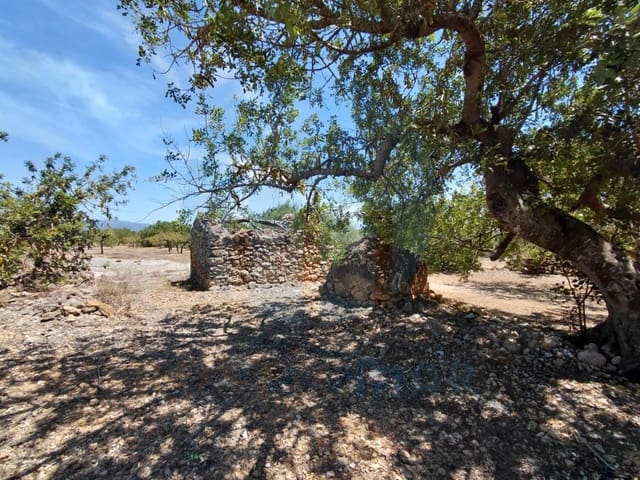 Quinta/Casa Rural para venda em L'Ametlla de Mar - 46 000 € (Ref: 10075508)