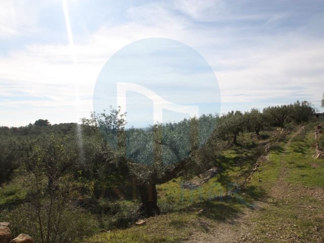1 soverom Finca/Herregård til salgs i El Perelló - € 75 000 (Ref: 10142403)