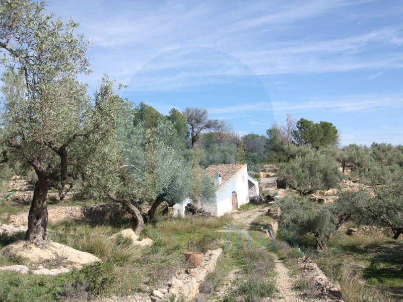 1 soveværelse Finca/Landehus til salg i El Perello - € 75.000 (Ref: 10142403)