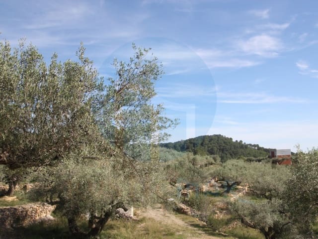 1 soverom Finca/Herregård til salgs i El Perelló - € 75 000 (Ref: 10142403)